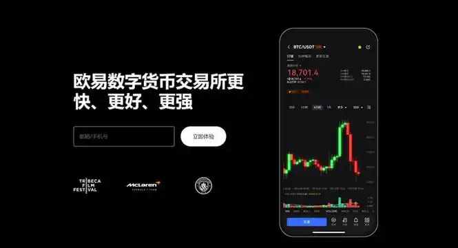 欧艺手机客户端下载系统展示图